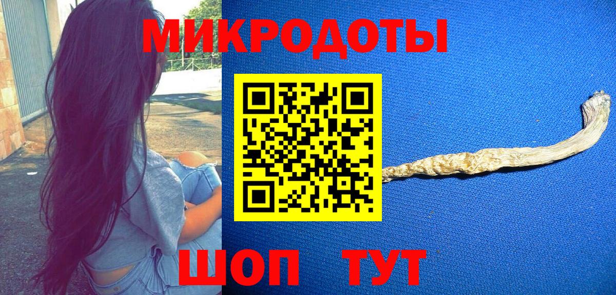 Галлюциногенные грибы ЛСД  закладки  Камень-на-Оби  Вход с VPN  Галлюциногенные грибы прущие грибы 